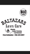 Avatar for Baltazar's Lawn Care