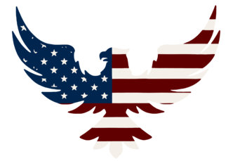 American Eagle Welding, Inc. logo