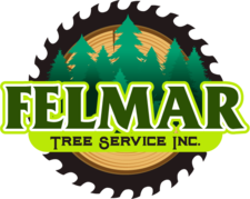 Avatar for Felmar Tree Service