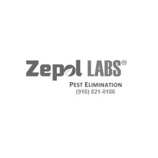 Avatar for Zepol Labs, Inc.