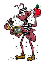 Defense One Termite & Pest Control, Inc. logo