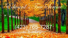 Avatar for Edward's tree service