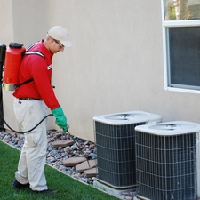 Bull's Eye Pest Control, Inc. | Murrieta, CA 92562 ...