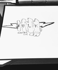 Avatar for Hulk's Electric