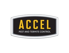 Logo for Accel Pest & Termite Control, LLC