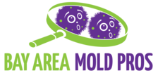 Avatar for Bay Area Mold Pros