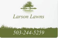 Logo for Larson Lawns