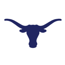 Logo for Blue Longhorn Roofing and Construction