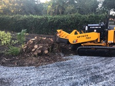 Burch Tree Service Inc. logo