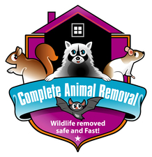 Avatar for Complete Animal Removal, Inc.