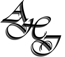 Absolute Home Inspection Service, LLC logo