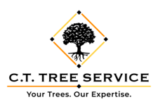 C.T. Tree Service, LLC logo