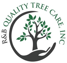 Avatar for R&B Quality Tree Care