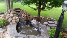 Avatar for Mark's Designer Landscapes
