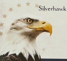 Silverhawk Handyman Services - Unlicensed Contractor logo