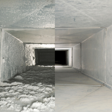 Avatar for Mold Air Care