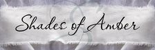 Avatar for Shades of Amber, Inc.