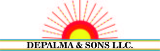 Depalma and Sons, LLC logo