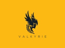 Valkyrie Construction LLC logo