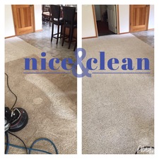 The 8 Best Carpet Cleaning Companies Of 2020