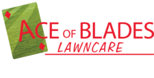 Avatar for Ace of Blades Lawn Care