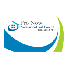 Avatar for Pro Now