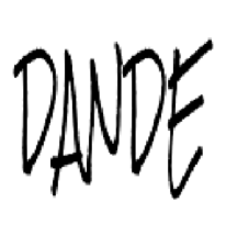Dande Hardwood Flooring, LLC logo