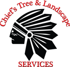 Avatar for Chiefs Tree and Landscape Services, LLC