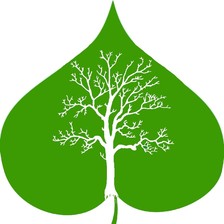 Avatar for TreeLeaf Lawns and Landscapes