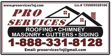 Pro Services 1, LLC logo