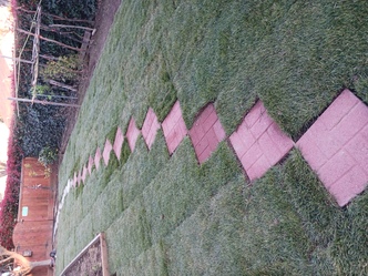 Perez Landscaping Services logo