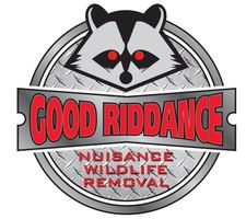 Avatar for Good Riddance Wildlife