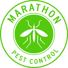 Logo for Marathon Pest Control
