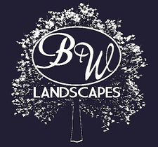 Blue and White Landscapes LLC logo