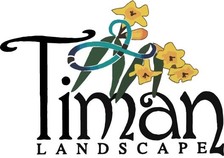 Avatar for Timan Landscape