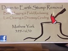 Avatar for Down to Earth Stump Removal