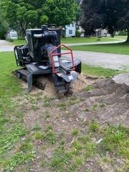 Beanes Stump Grinding, LLC logo