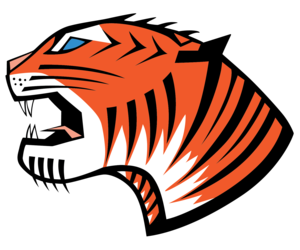 Tiger C Construction, LLC logo