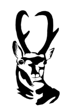 Pronghorn Fence and Landscape, LLC logo