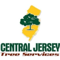 Central Jersey Tree Services, LLC logo