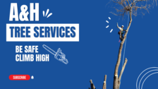 A and H Tree Services, Inc. logo