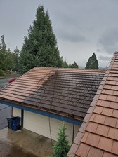Arrowhead Roof Cleaning,  LLC logo