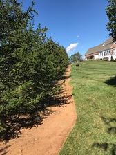 Logo for Prestige Landscapes