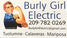 Avatar for Burly Girl Electric