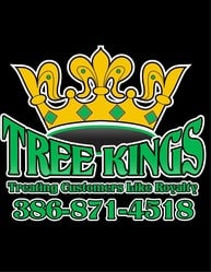 Tree Kings Florida, LLC logo