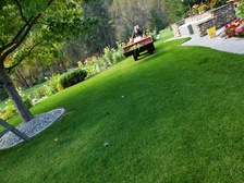 Logo for Sanchez Landscaping