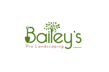 Avatar for Bailey's Pro Landscaping