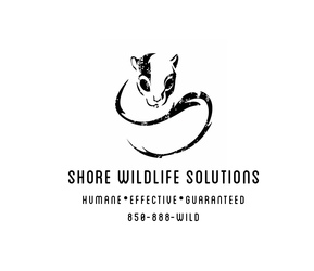 Shore Wildlife Solutions, LLC logo