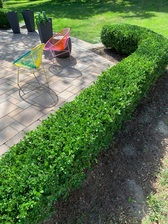Avatar for Tim Lewis Landscaping & More