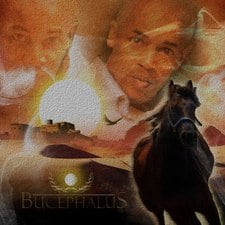 Avatar for Bucephalus Production